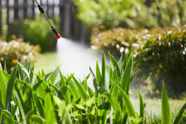 Tamper-Resistant Bait Stations for Rodents in Kemmerer