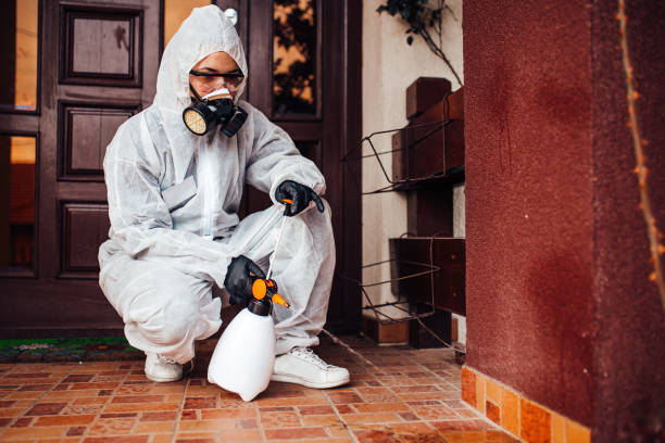 Attic and Crawl Space Rodent Treatment in Kemmerer