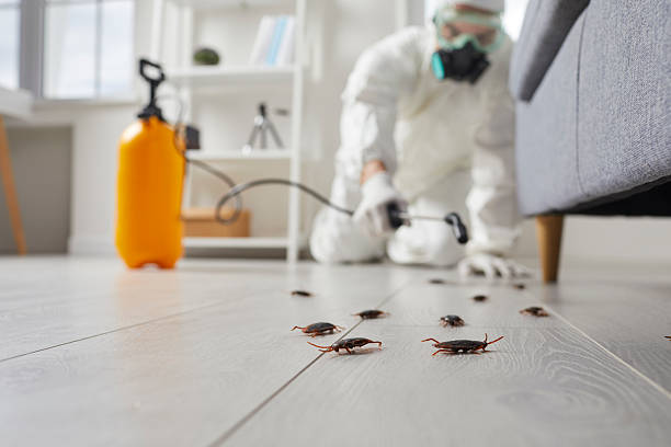 Commercial Rodent Management in Kemmerer